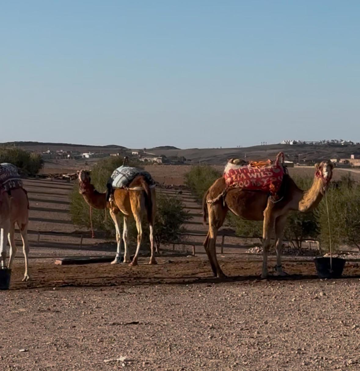 Agafay Valley Marrakesch Exterior foto